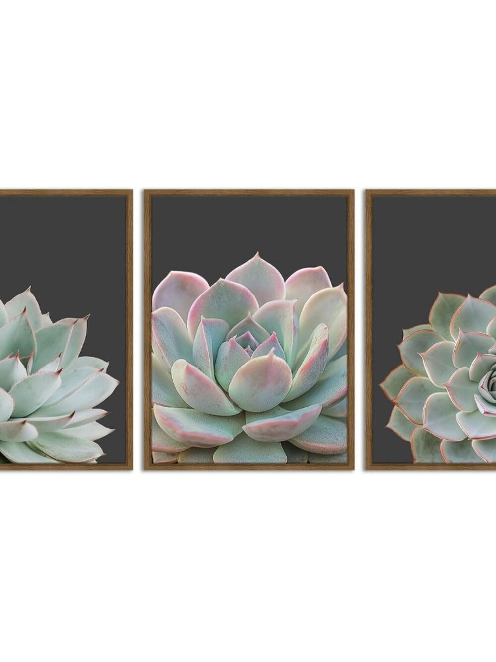 Succulent Wall Art,Nature Plant Echeveria Wall Decor,12"x16"x3